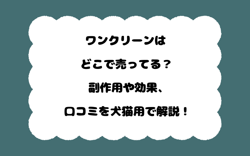 ワンクリーンはどこで売ってる?副作用や効果、口コミを犬猫用で解説!