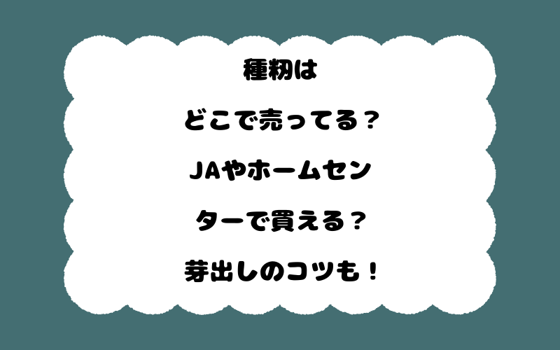 種籾はどこで売ってる?JAやホームセンターで買える?芽出しのコツも!