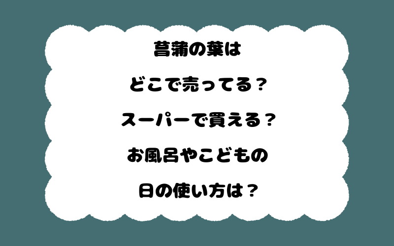 菖蒲の葉はどこで売ってる？スーパーで買える？お風呂やこどもの日の使い方は？