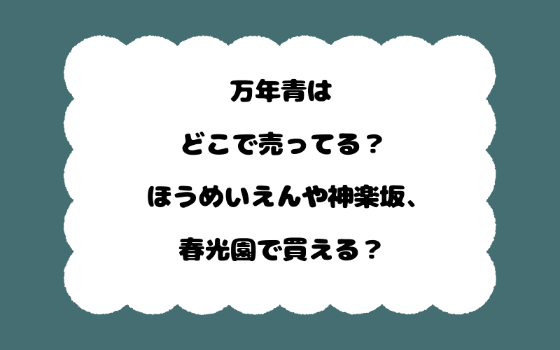 万年青はどこで売ってる?ほうめいえんや神楽坂、春光園で買える?