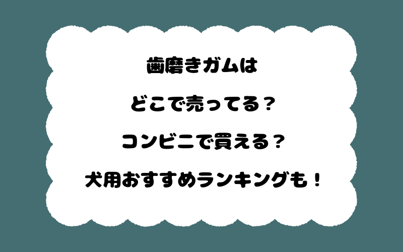 歯磨きガムはどこで売ってる?コンビニで買える?犬用おすすめランキングも!