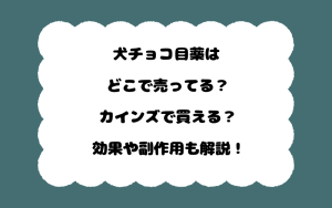 犬チョコ目薬はどこで売ってる？カインズで買える？効果や副作用も解説！