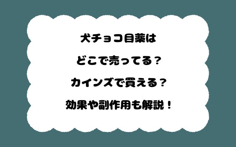 犬チョコ目薬はどこで売ってる?カインズで買える?効果や副作用も解説!