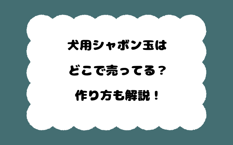 犬用シャボン玉はどこで売ってる？作り方も解説！