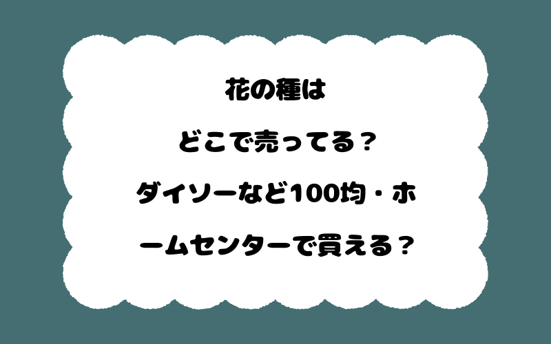 花の種はどこで売ってる?ダイソーなど100均・ホームセンターで買える?